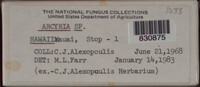 Image Associated With the Occurence